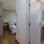 Polei Pula